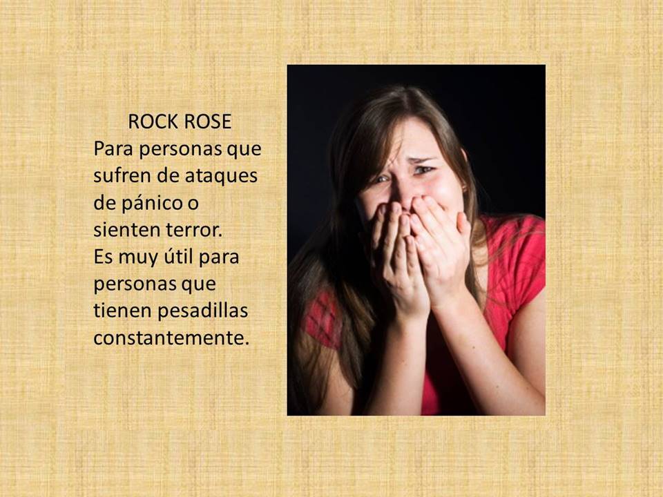 terapiaysonrisa's tweet image. Aporta capacidad de actuar con firmeza en situaciones de crisis y emergencia. Aporta valor.