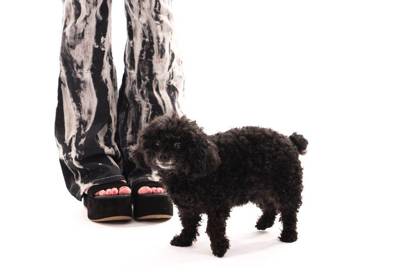 SonasDenim's tweet image. Thank you @FashionSnag for the lovely feature on our #patchworkdenim jeans! 💙 bit.ly/1QYnYp0