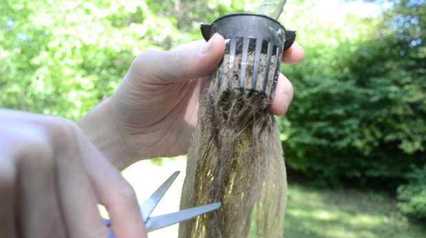 TowerGarden's tweet photo. To keep plant roots away from your Tower Garden pump, cut them up to half their length. #TowerTip http://t.co/f9JiUWKQMW