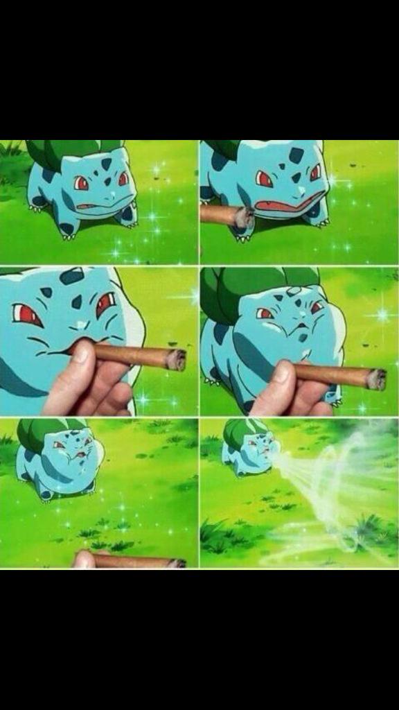 PokemonBible's tweet photo. ...this is why you always get picked last!! http://t.co/t3P6Qt1W0w