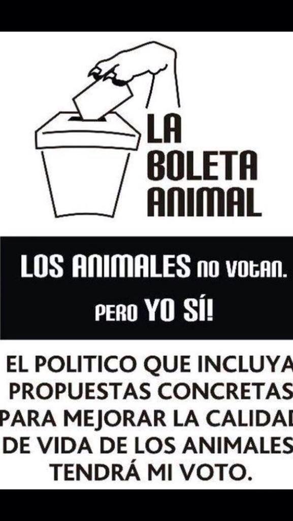 A_BrianLopez's tweet photo. "@vhga10 @EdgarOlveraMX  @J_MUNNESKY @ruloelperrobobo @A_BrianLopez @Pabis1970 @suvaanimals @marlenneariadna http://t.co/NuJce58ney"