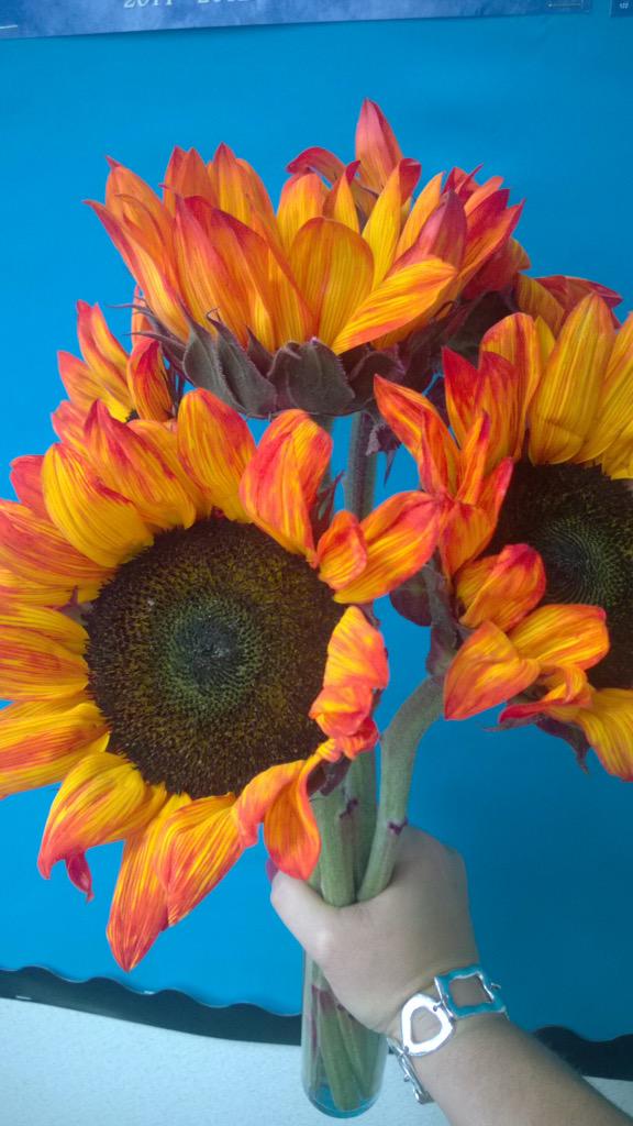 LOGICMUSD's tweet image. RT @ericka_meadows #beyondtheworksheet #proudtobemusd @IntelEDU @k12blueprint @PanasonicUSA facebook.com/proudtobemusd/…