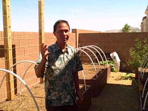 Fake Lawns and Trex Raised Square Foot Garden Bed Construction in the La... vid.staged.com/yFvp #rawfood #health