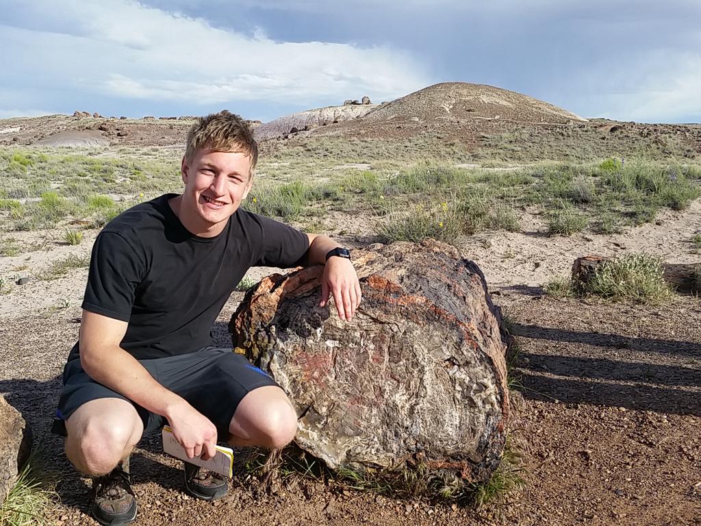 rockswhisperer's tweet photo. Petroleum engineers appreciate the strain ellipse exhibited by the petrified logs @MissouriSandT #geofldcamp http://t.co/6x741MCXwD