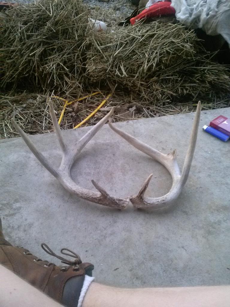 bigbenkendall25's tweet photo. 8 point from last season http://t.co/ff0mYP9Tlu