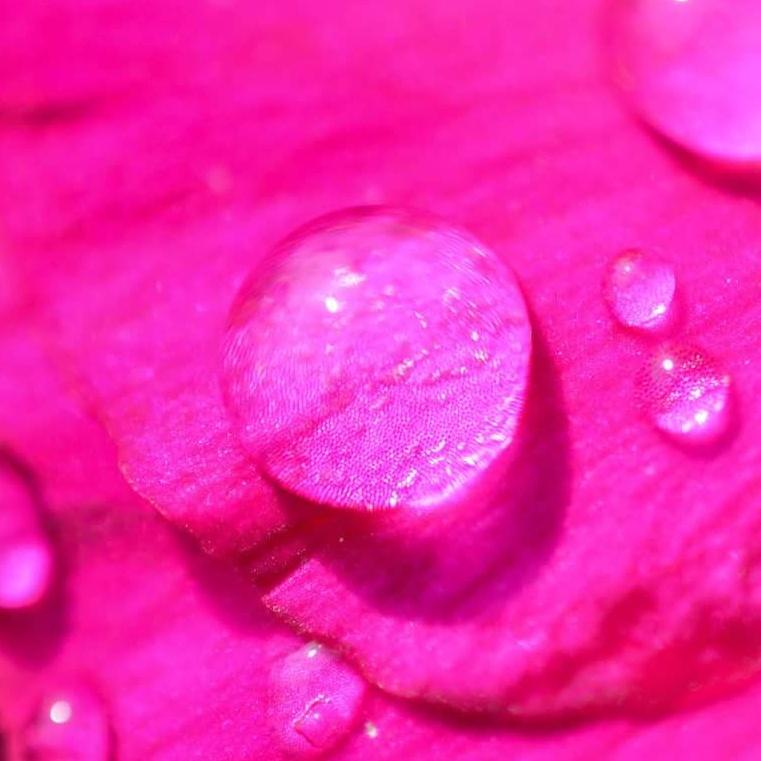 LeeAnnLander's tweet photo. Nature up close. #findbeautywhereyouare  #backyardbeauty http://t.co/xtNepUvaCU