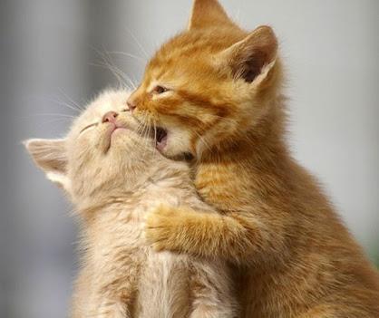 lovedose728's tweet photo. Love cant see any thing it just happen http://t.co/Pmqs3cDgWt