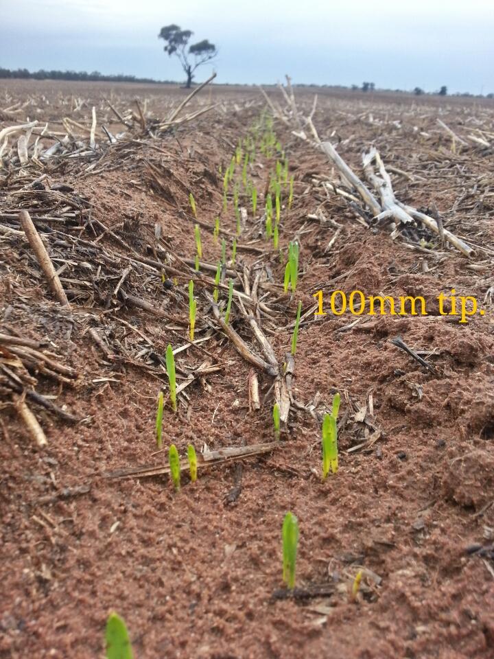 leighjbryan's tweet photo. My 1st yr Dutch openers = Very impressed. 
Simple, strong, no blockages &amp; predictable seed placement. #isdutchisgood http://t.co/L5gy68EsKY