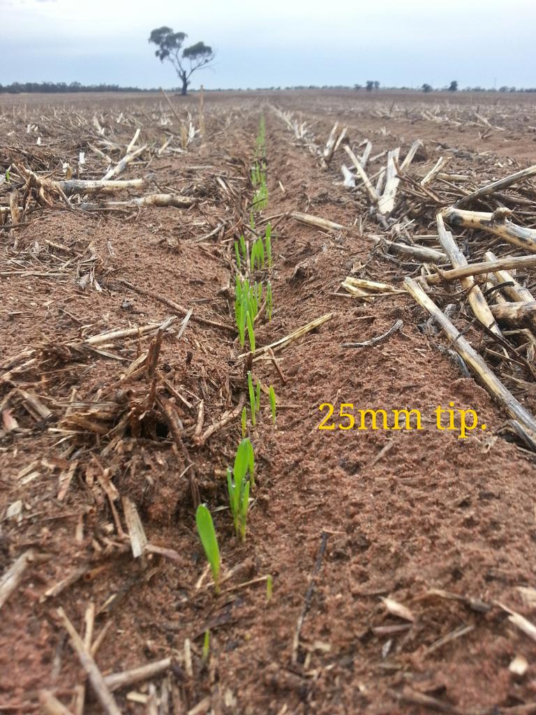 leighjbryan's tweet photo. My 1st yr Dutch openers = Very impressed. 
Simple, strong, no blockages &amp; predictable seed placement. #isdutchisgood http://t.co/L5gy68EsKY