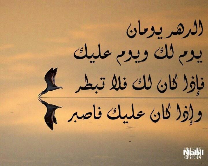 jeehan84812's tweet photo. “@MmaQarat: http://t.co/lNhaNw1SlN”