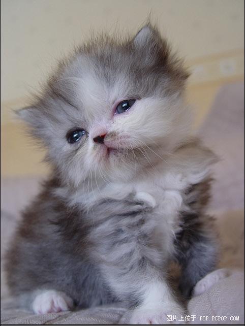 yooha111's tweet image. 