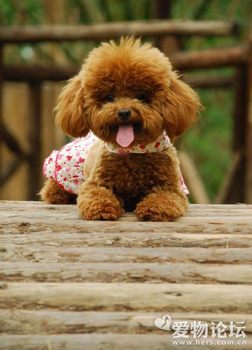 yooha111's tweet image. 