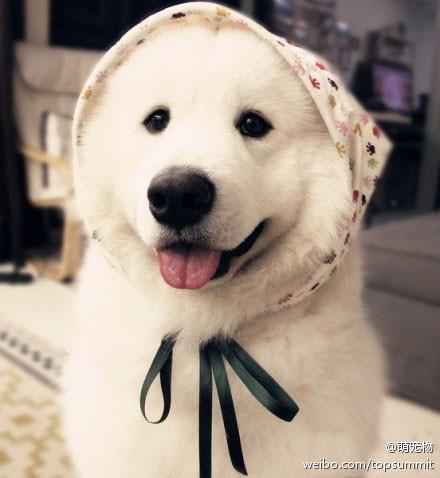 yooha111's tweet image. 