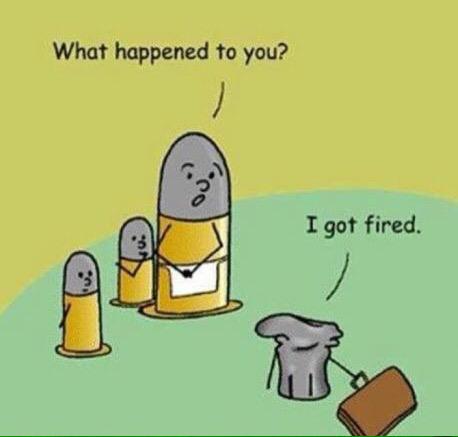 Botheredturtle's tweet image. 