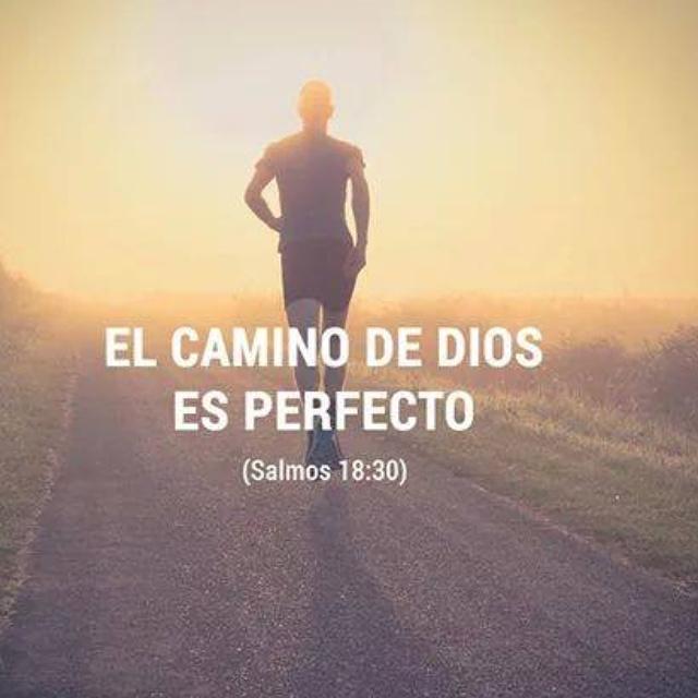 Revista Renuevame (@renuevametv) on Twitter photo 