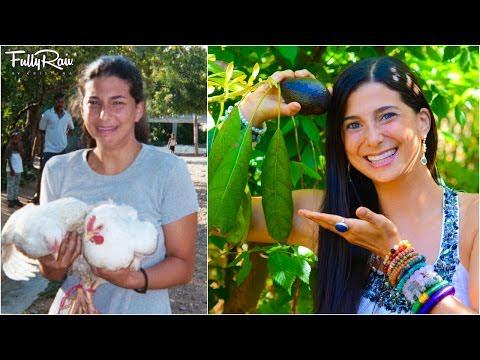 Why I Became Vegetarian vid.staged.com/A8vp #rawfood #health