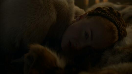 Sansa Stark (@starkysansa) on Twitter photo 