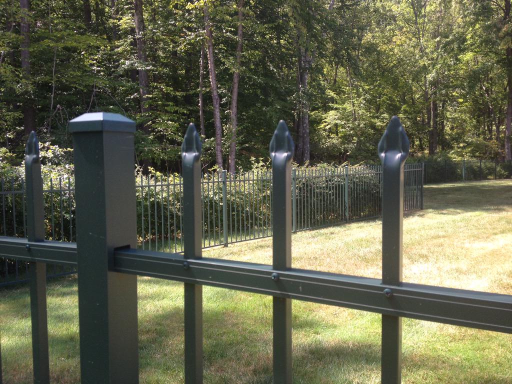 DirectAFG's tweet image. Premium Aluminum Fence - Perfect for the Backyard #Aluminumfencepanels #Fences #yardfence