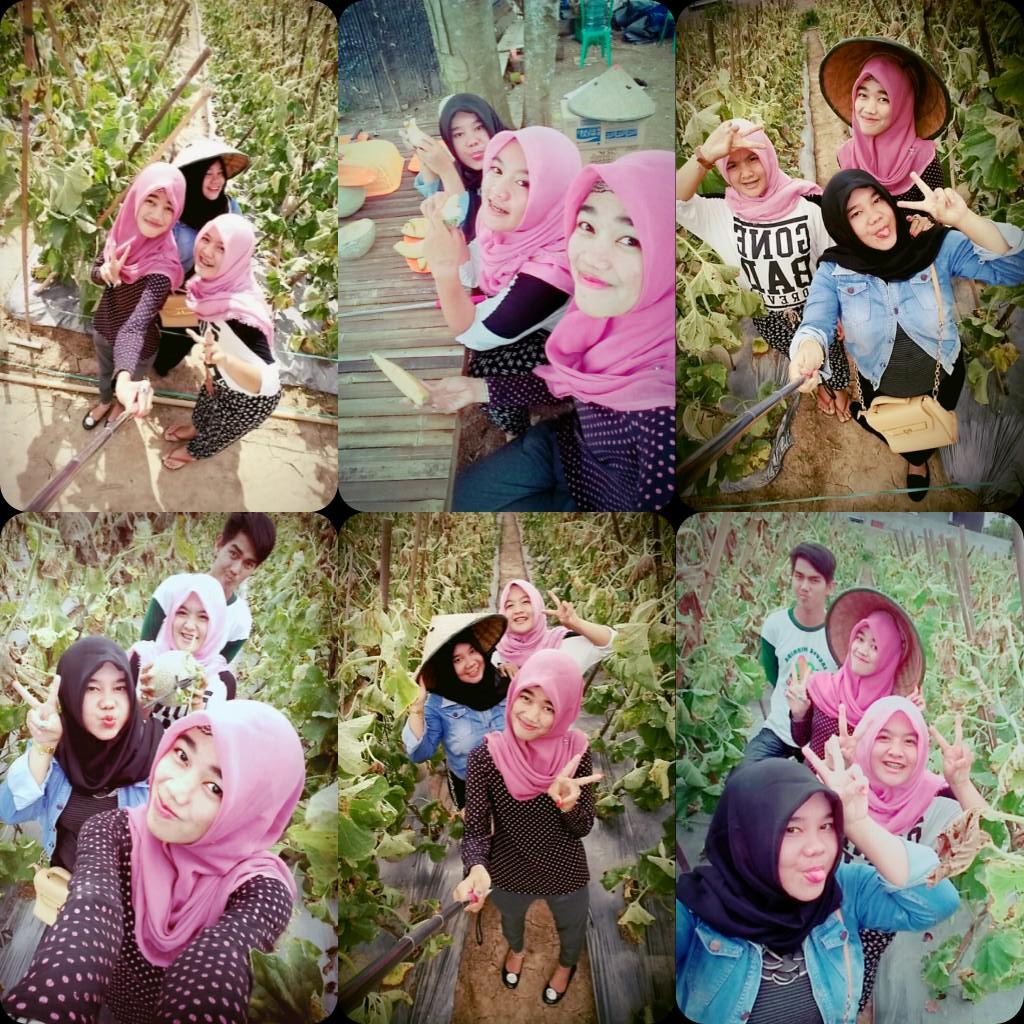 lovaa_lhen's tweet photo. Kebun melon 😄😱🙌 http://t.co/B29uyrbi83