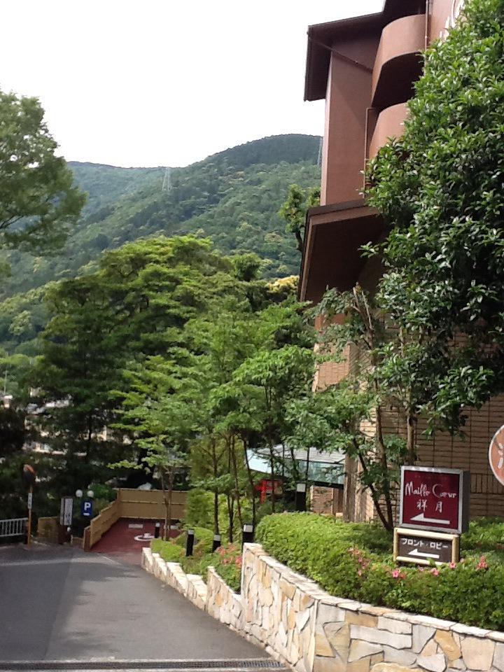 hakoneshougetsu's tweet photo. 朝から雨でしたが、小降りになり、すこし陽もさし��きました。
雨が降った後は、緑が一層きれいに見えます。 http://t.co/nl6T3nxvvZ