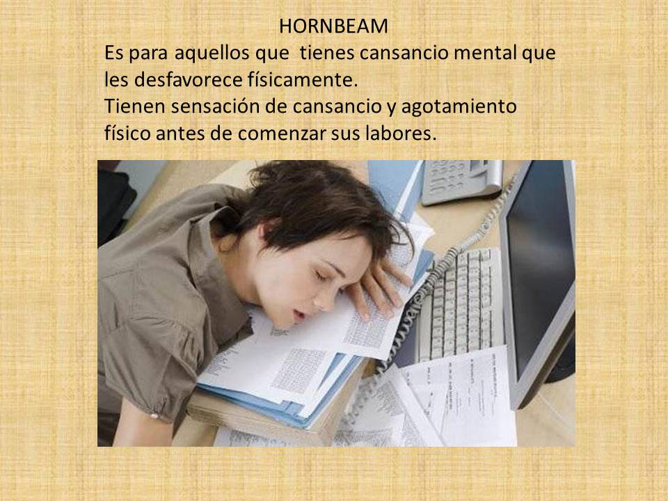 terapiaysonrisa's tweet image. HORNBEAM: Aporta eficacia y concentración, claridad mental, vivacidad, vitalidad, sensación de paz y satisfacción.