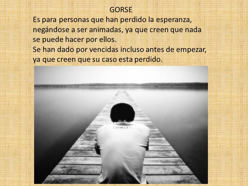 terapiaysonrisa's tweet image. GORSE: Mantienen la esperanza a pesar de las caídas y aceptación ante la adversidad.