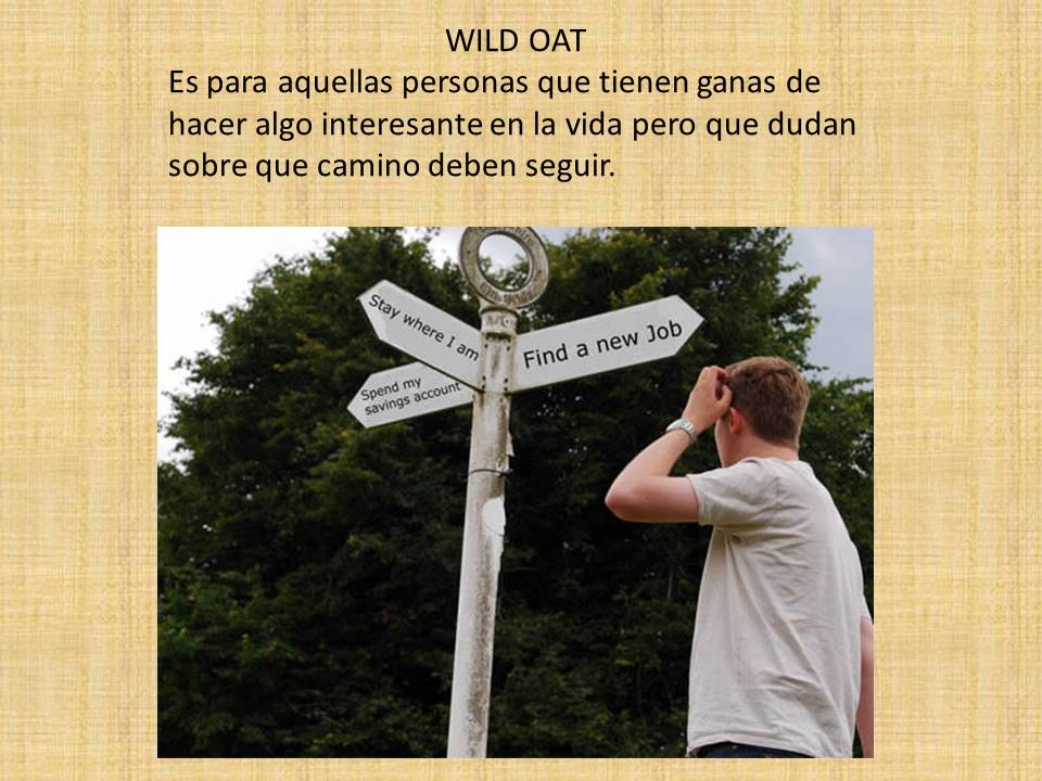 terapiaysonrisa's tweet image. WILD OAT: Da osadía, aporta que capacidades sean usadas de manera constructiva y en el reconocimiento de su potencial