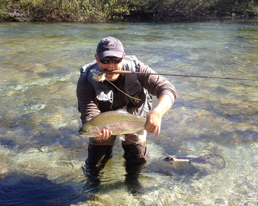 Fish_around tweet picture