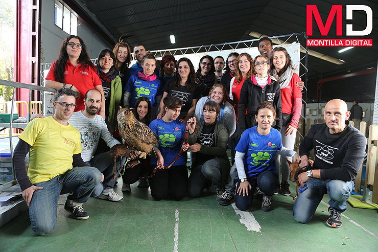 ACTUALIDAD | Diverfauna reunirá más de 80 especies animales en el recinto ferial de Montilla dlvr.it/9t5TJ3