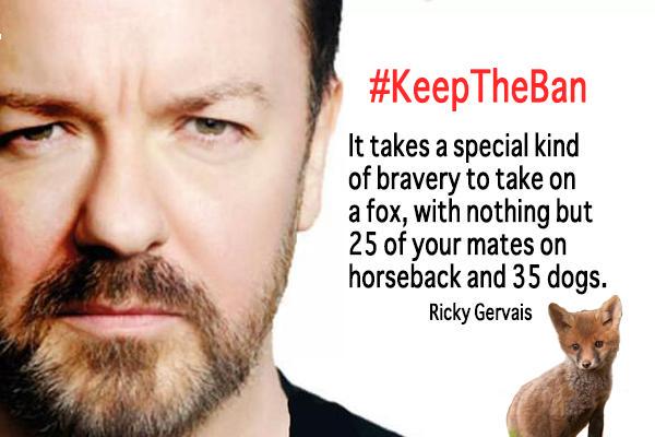 peteswildlife tweet picture