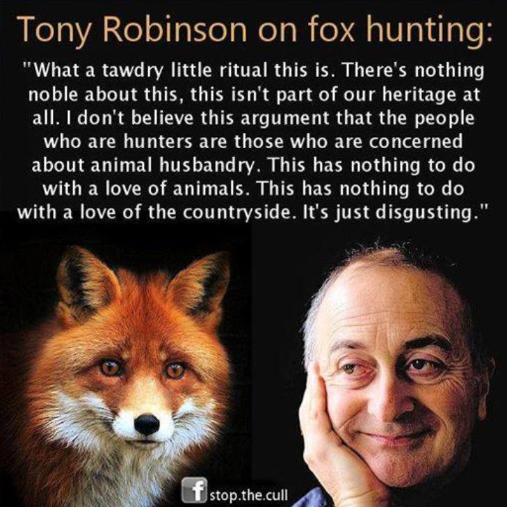 peteswildlife tweet picture
