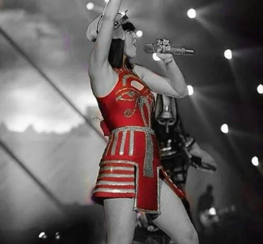GarryAJackson's tweet photo. Some Epic Pics of Katy Perry's #PWT2014-15 (Curtsey- @Perrryfan Instagram)💜
RT &amp; Fav if you're a #Katycat #KatyPerry http://t.co/9o4wziJQHm