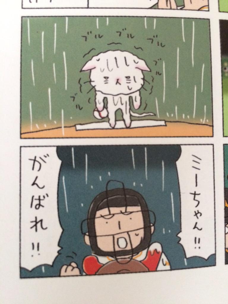 ミーちゃんがんばれ!! 