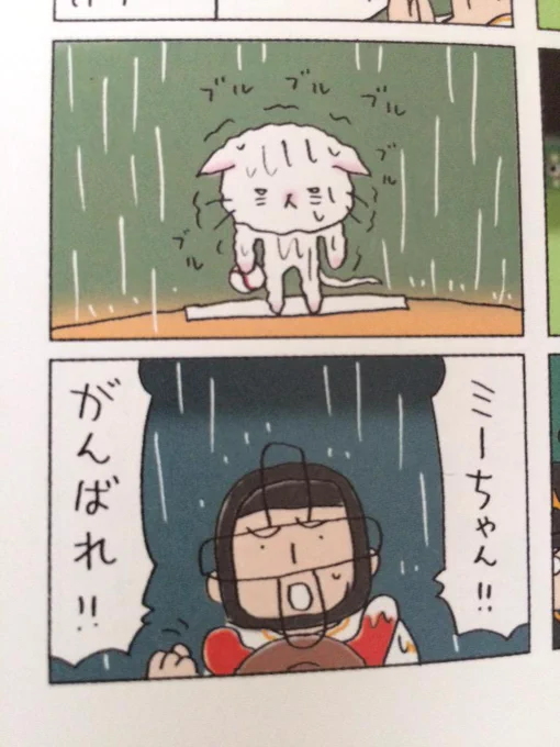 ミーちゃんがんばれ!! 