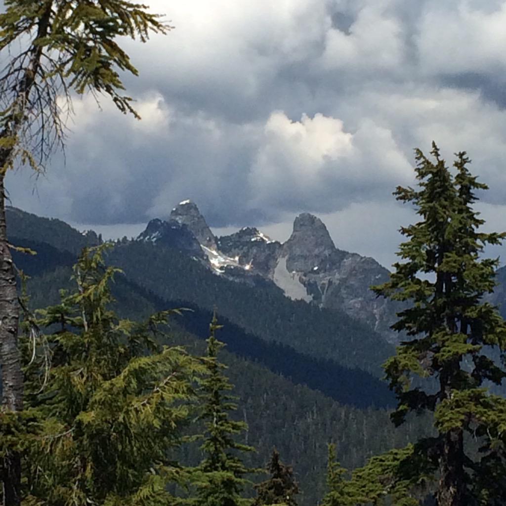 MJPye's tweet photo. A walk in the woods #beautifulbc #MotherNature http://t.co/qLvJCyTXOk