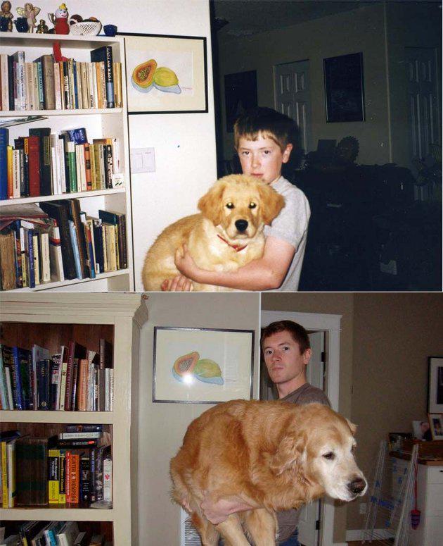 soyoso's tweet photo. Then & Now #DogisManBestfriend http://t.co/VXj8UpBPDW