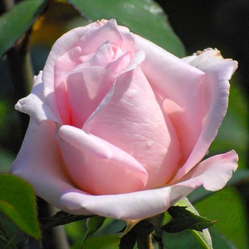 hihhamr's tweet photo. http://t.co/ySQzIo3WUB
