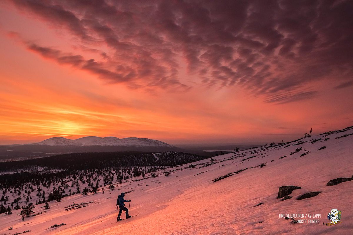 OurLapland's tweet photo. RT @AVLappi: You can skii 24 hours if you want. Pic from Sammaltunturi last night. #Lapland #Finland #midnightsun http://t.co/N1QIQpXzZS