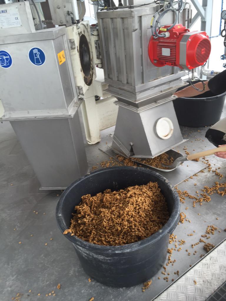 OAlgoet's tweet photo. @OAlgoet: Op zoek met Unif Gent en FDL naar nieuwe generatie grondstoffen: insecten, zeewier, algen,  groentenstroom? http://t.co/SG1qjnj3Cy
