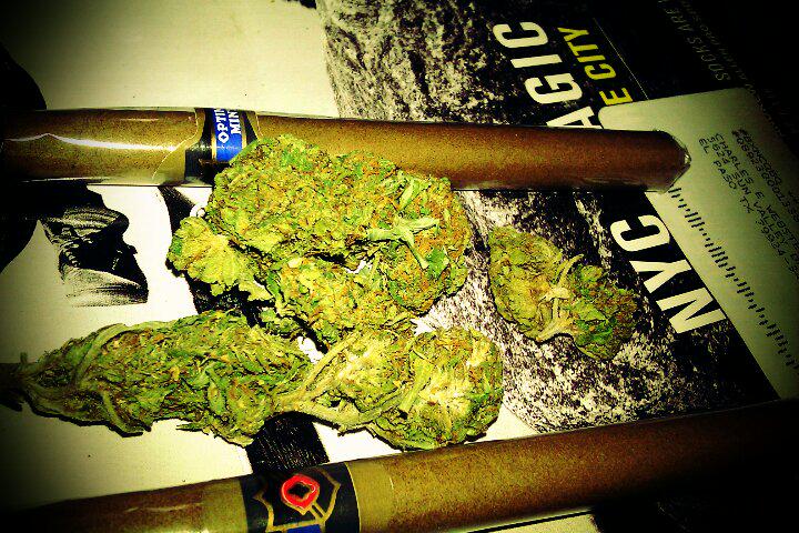 Mr. Marijuana tweet media