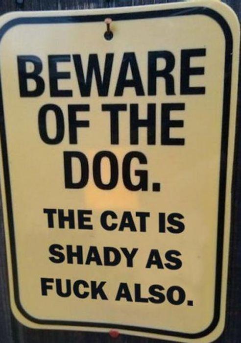 danffletcher's tweet photo. Funny http://t.co/rwWdIITt8j