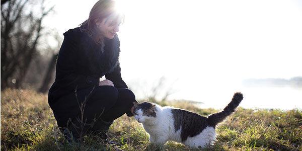 Freja_Petersen's tweet photo. @EviMeuris Sign/RT:
MT LAUREL: DON'T STARVE OUT FERAL CATS & FINE EMPATHETIC RESIDENTS FOR ...
http://t.co/pyKZrb8GrP http://t.co/2cb4ngmSaU