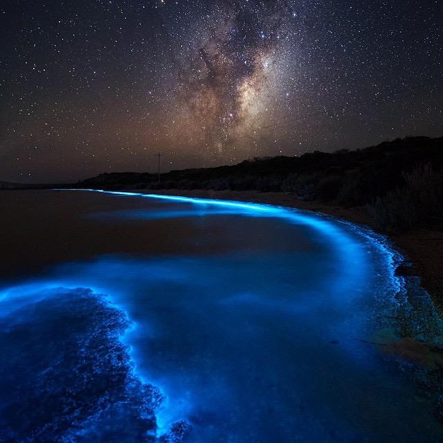 tasmania's tweet photo. The brilliant, electric blues of bioluminescence lighting up the foreshore  (Pic: @james.garlick via IG) http://t.co/fcW6f4zjZr