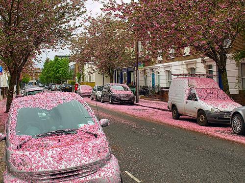 StartLifeLondon's tweet image. Primrose Room - Standard Double - Available from 11th May via @StartLifeLondon  start-life-in-london.sharetribe.com/en-GB/listings… #London #SLiL