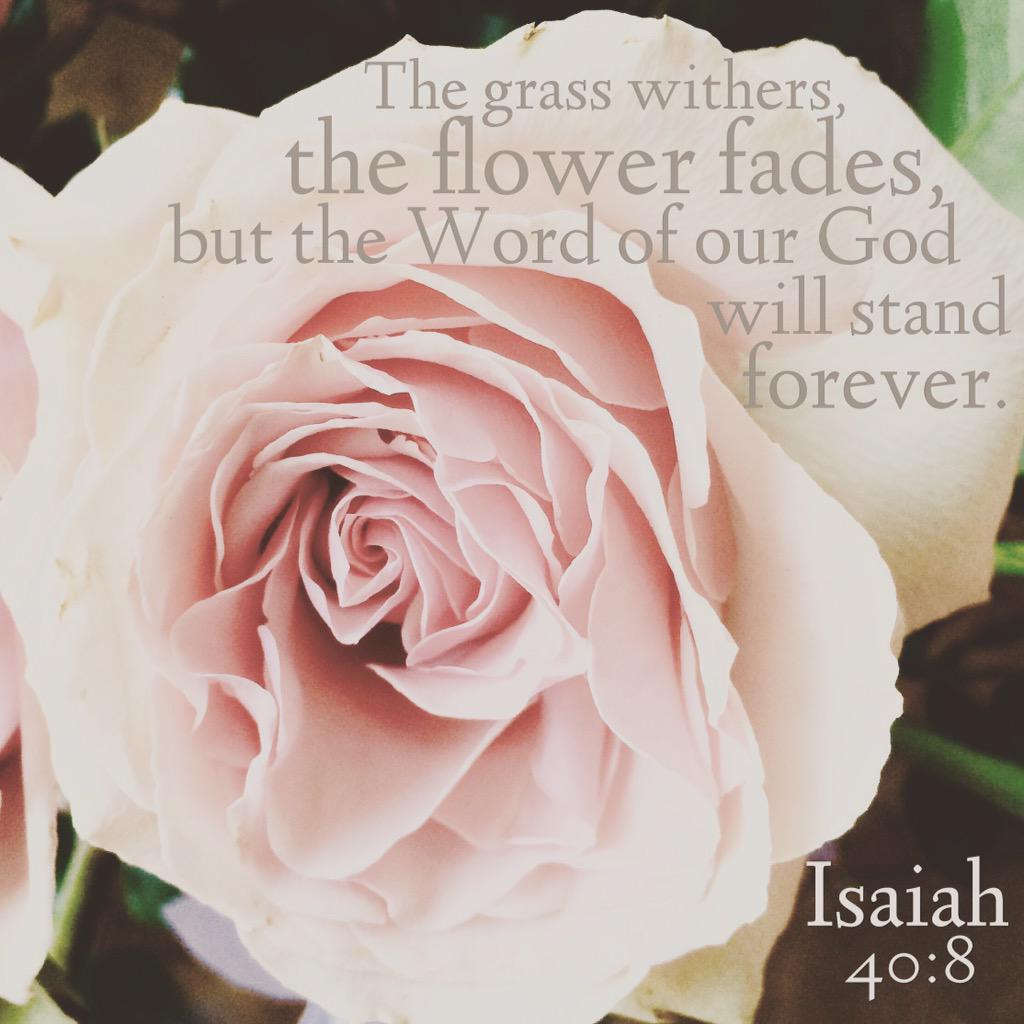 FBCNaples's tweet photo. God's Word is timeless &amp; true. Have you spent time listening for His voice today? #FBCNLife http://t.co/P38mjU5my0