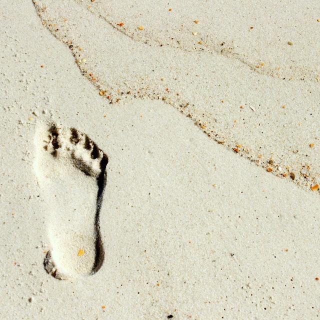 VISITFLORIDA's tweet photo. Get your tootsies in the sand of a Florida beach over Memorial Day weekend. #LoveFL http://t.co/1KHrt6pKgt http://t.co/Gy4TDXAyDS