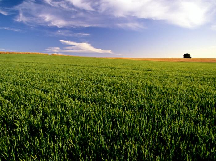BioParkExpo2015's tweet photo. #Biologico e funzionalità: il futuro dell'#agricoltura @cia_agricoltura http://t.co/k0ikmt2ygn http://t.co/kWu3tGznaZ