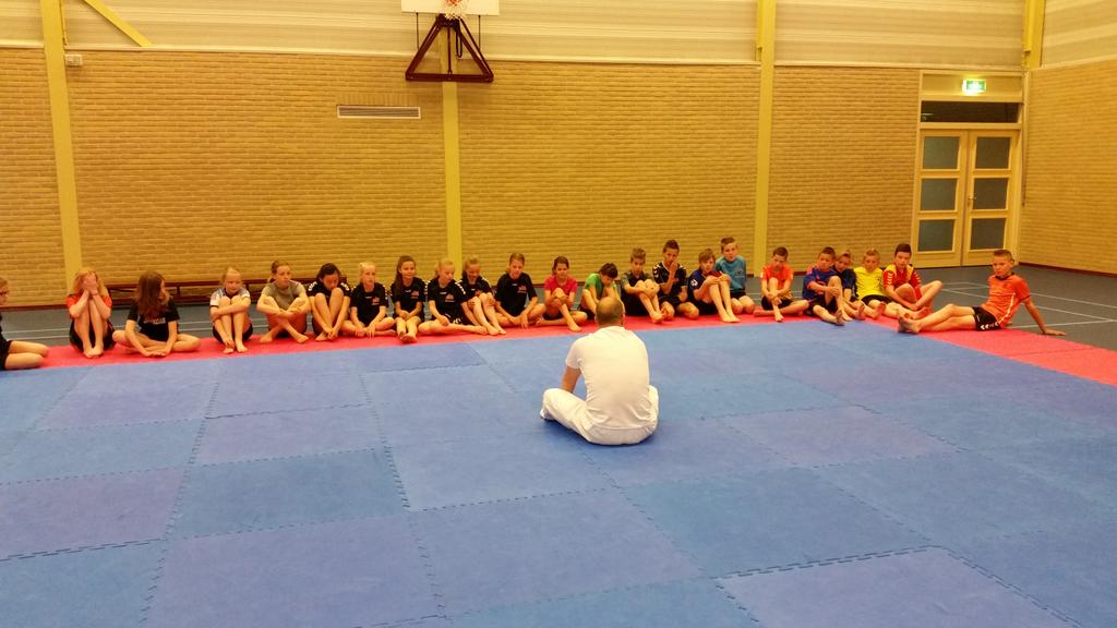 RobvanEgmond's tweet photo. Vandaag krijgen alle kinderen uit groep 3 t/m 8 in Broekland een judoclinic. #IklekkerFit!? http://t.co/bj9yniiGwo