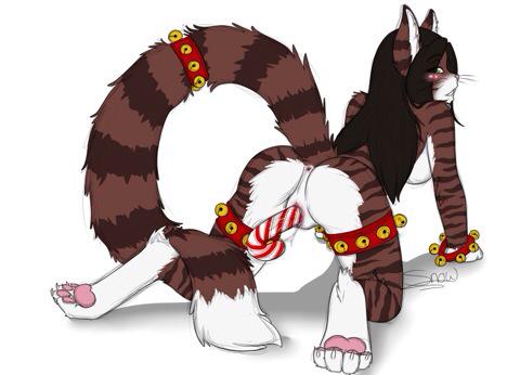 furry_Miami's tweet photo. Freaking horny this morning >_< http://t.co/1pJbLt8KVp