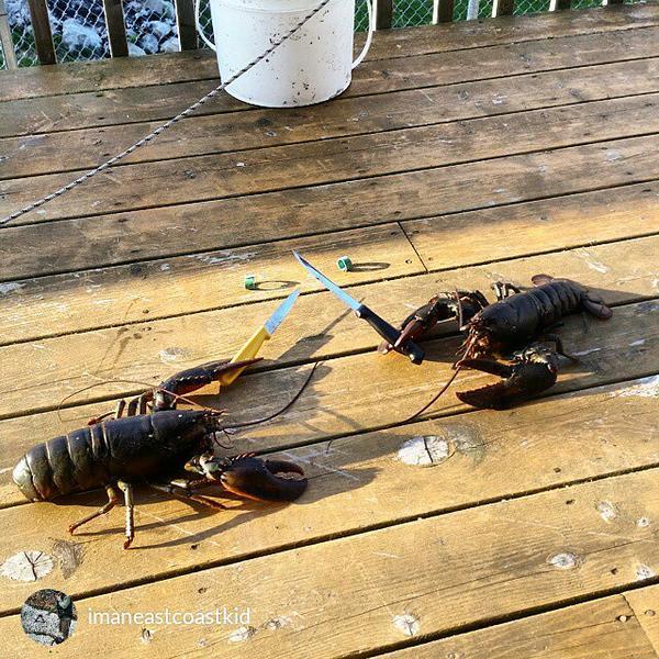 HfxRegPolice's tweet image. Good morning Halifax, reports of a "wild" knife fight by the harbour this morning  @imaneastcoastkid